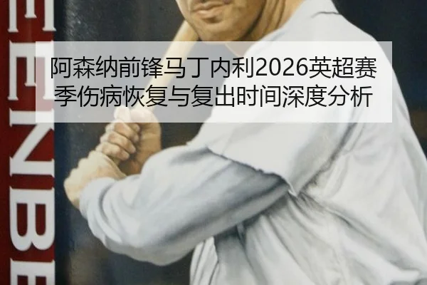 阿森纳前锋马丁内利2026英超赛季伤病恢复与复出时间深度分析（FIFA Worldcup 2026）